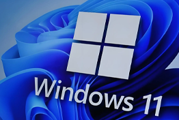 玩转技巧之绕过TPM2.0装Win11三种方法