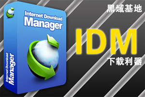 Ѹ׸ IDM6.38.3˹