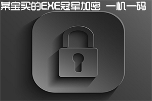 ZProtect1.6EXE加密 可生成注册机