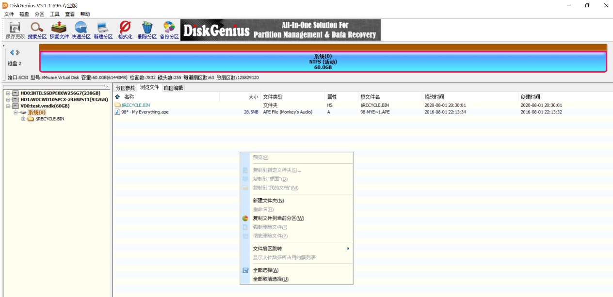 DiskGenius Pro v5.1.1.696 ƽרҵ