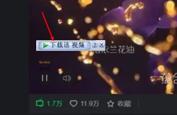 [Windows] IDMع Internet Download Manager v6.42.31 ֱװ߼