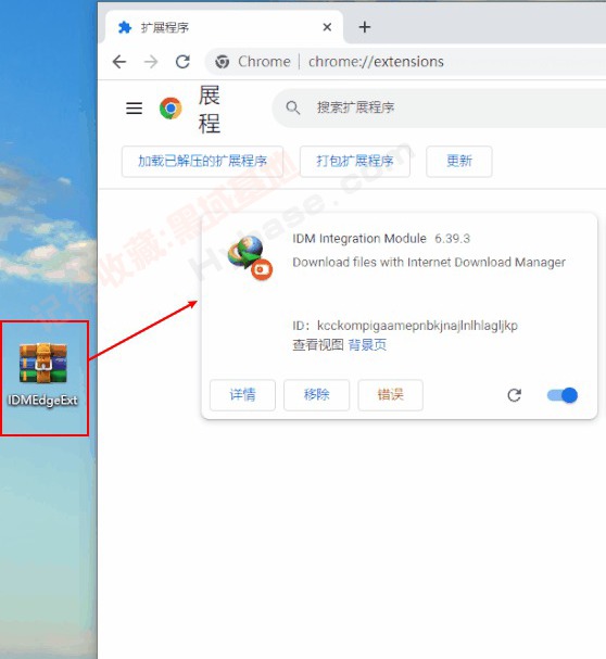 [Windows] IDMع Internet Download Manager v6.42.31 ֱװ߼