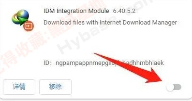 [Windows] IDMع Internet Download Manager v6.42.31 ֱװ߼