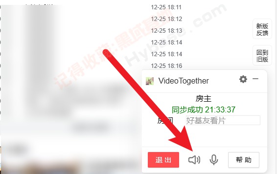 [Windows] ͬһ VideoTogether v1.3.65