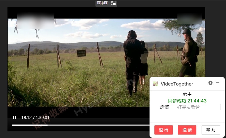 [Windows] ͬһ VideoTogether v1.3.65