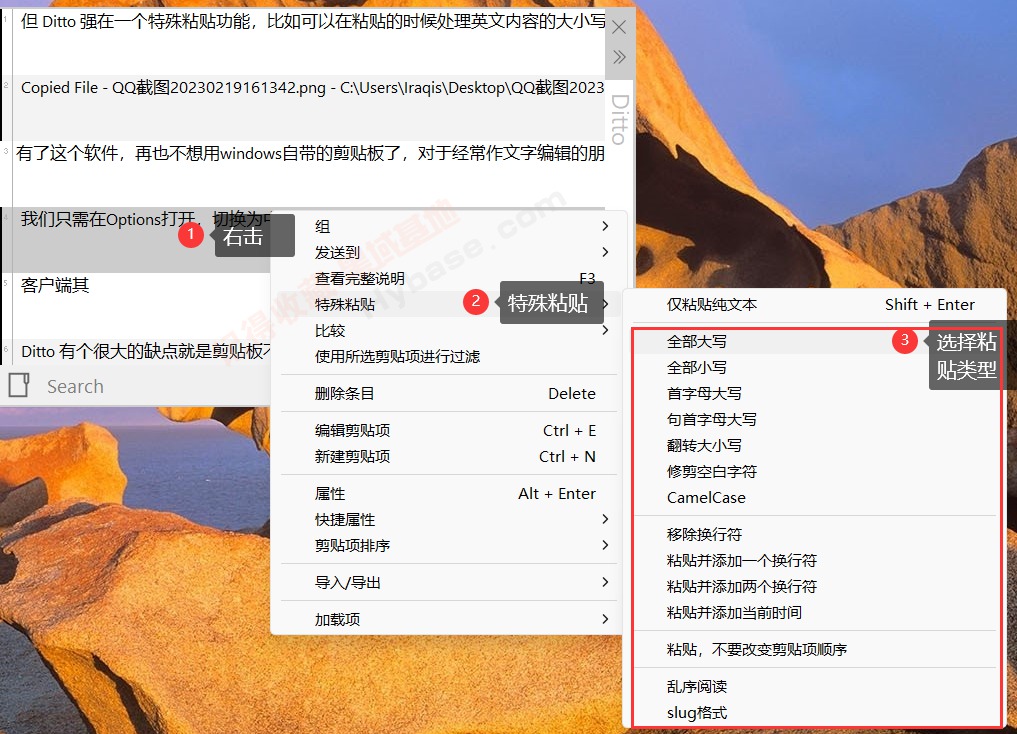 [Windows] ٱЧʵļ幤 DittoPortable+Hot Copy Paste