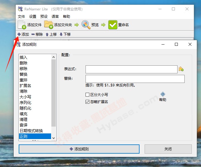 [Windows] Ӵ˸Ч ReNamer Pro v7.6 ߼Я