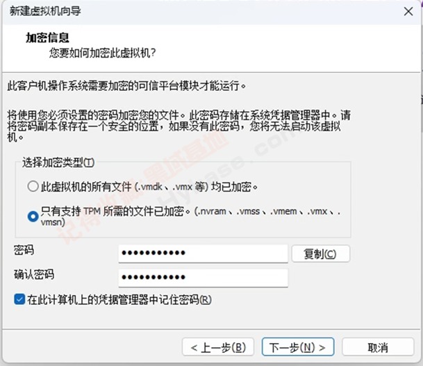 [Windows] VMware25H2ذ汾 VMware Workstation Pro 25H2 v25.0.0.24995812