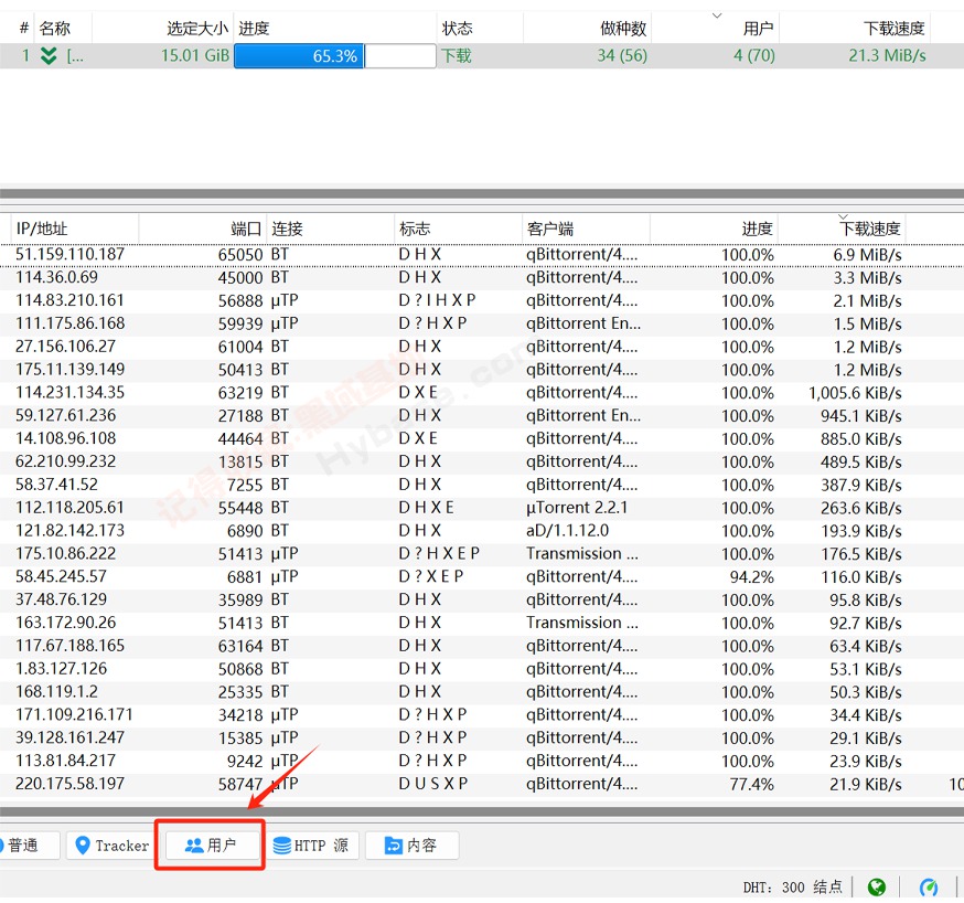 [Windows] uTorrentѸ qBittorrent v5.1.3 Я