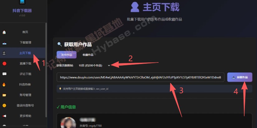 [Windows] ȫһվʽƵ TikTokv1.0 Я