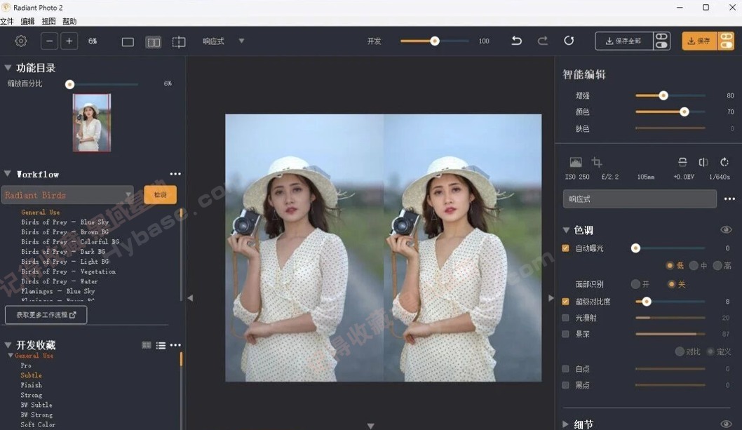 [Windows] ƬʸAIͼ Radiant Photo v2.2.0.818 Я