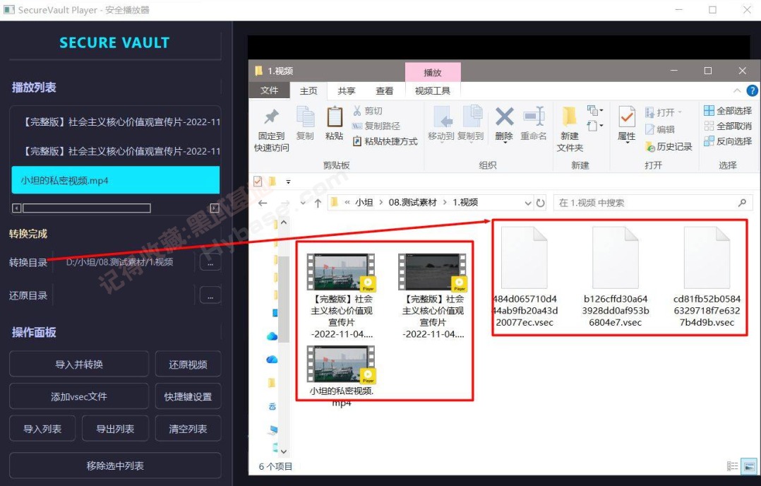 [Windows] ����ר�ò����� SecureVault Player v0.8.9 ��Я��